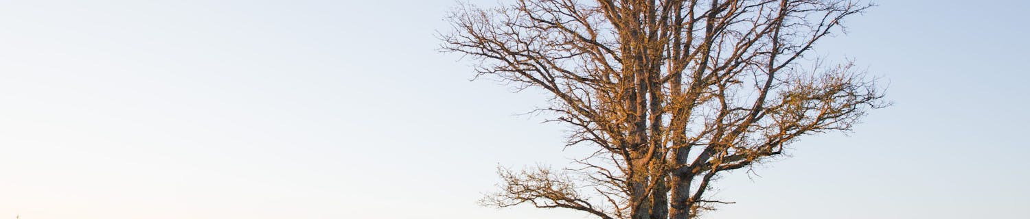 maisemakuvaaja, kamera ja kamerajalusta